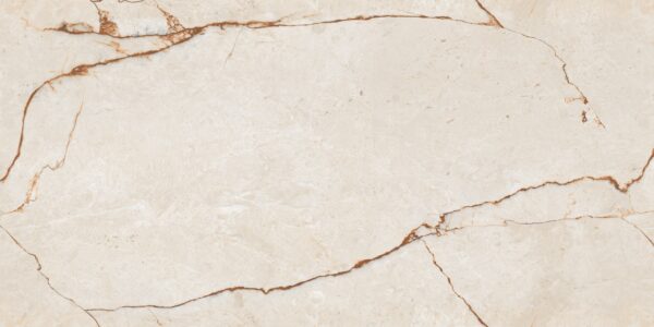 MARBLE DELICATO POLISHED 60 X 120
