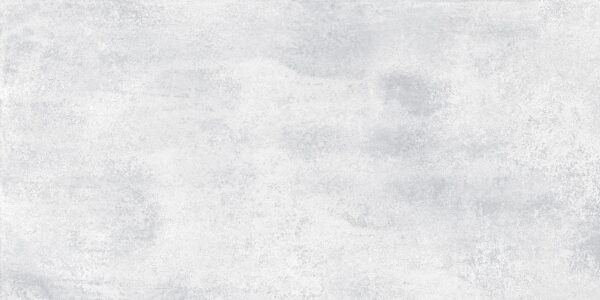 MISTY SILVER POLISHED 60 X 120