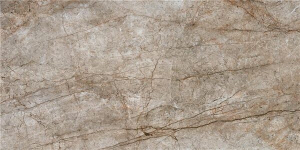 RAIN FOREST DAYTON POLISHED 60 X 120